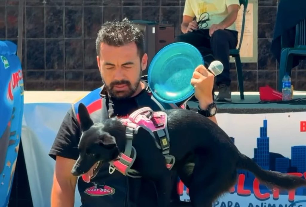 Corporación de Abastos CORABASTOS: