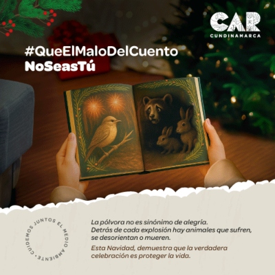 Noticias de la CAR: ALFRED BALLESTEROS, DIRECTOR GENERAL